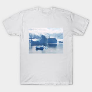 Ice Formation (Warm) T-Shirt